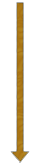 Main Text Berserker